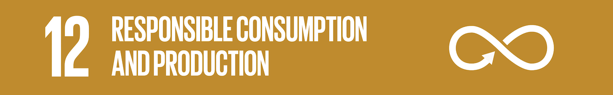 SDG 12. Responsible Consumption and Production