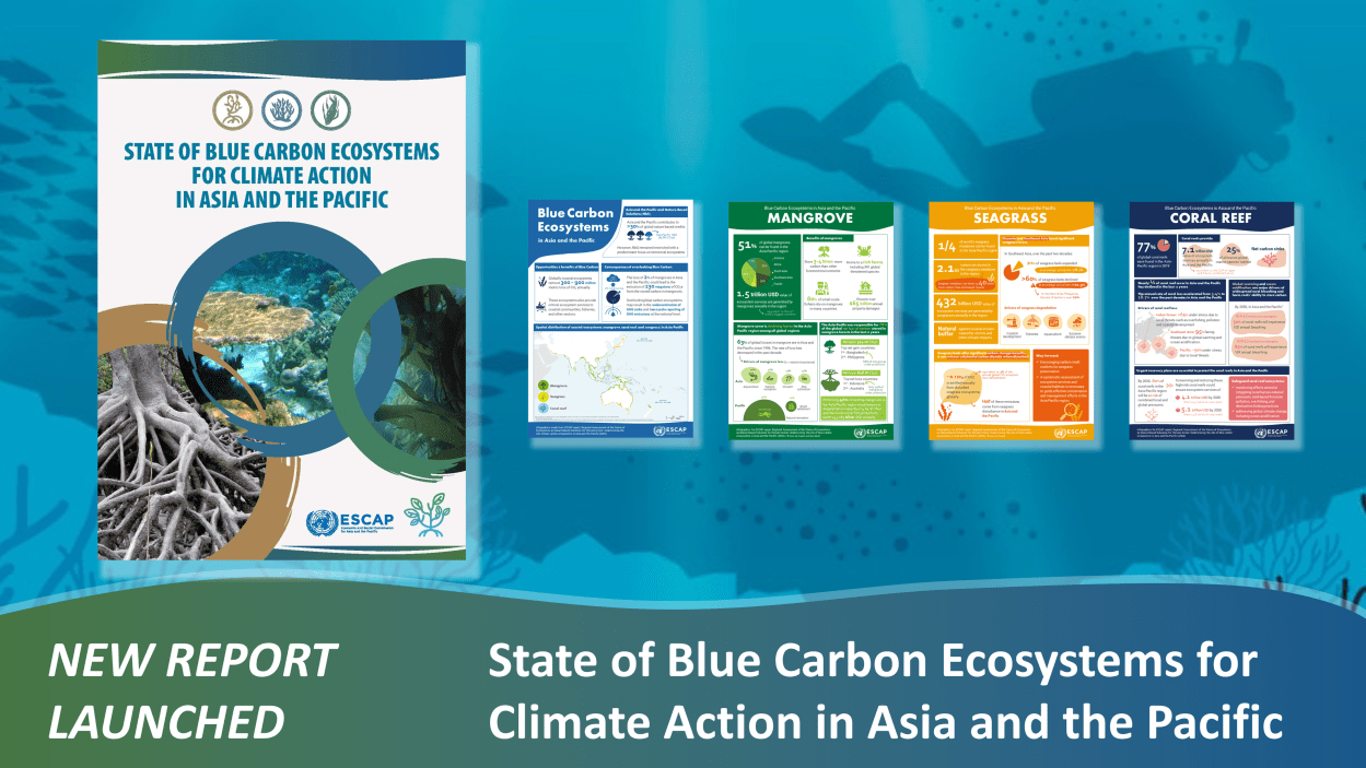 Blue Carbon Ecosystems in Asia and the Pacific