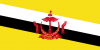 Flag_of_Brunei_ Darussalam